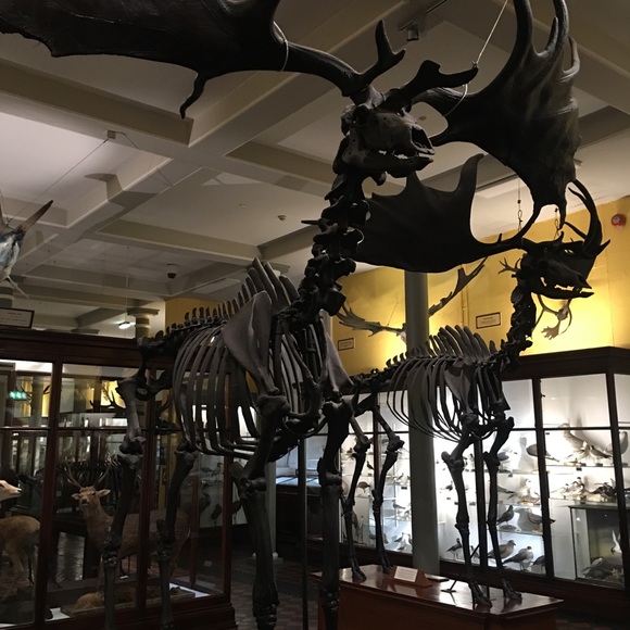 Meet your Posher, Aleks - Picture 5 of 7